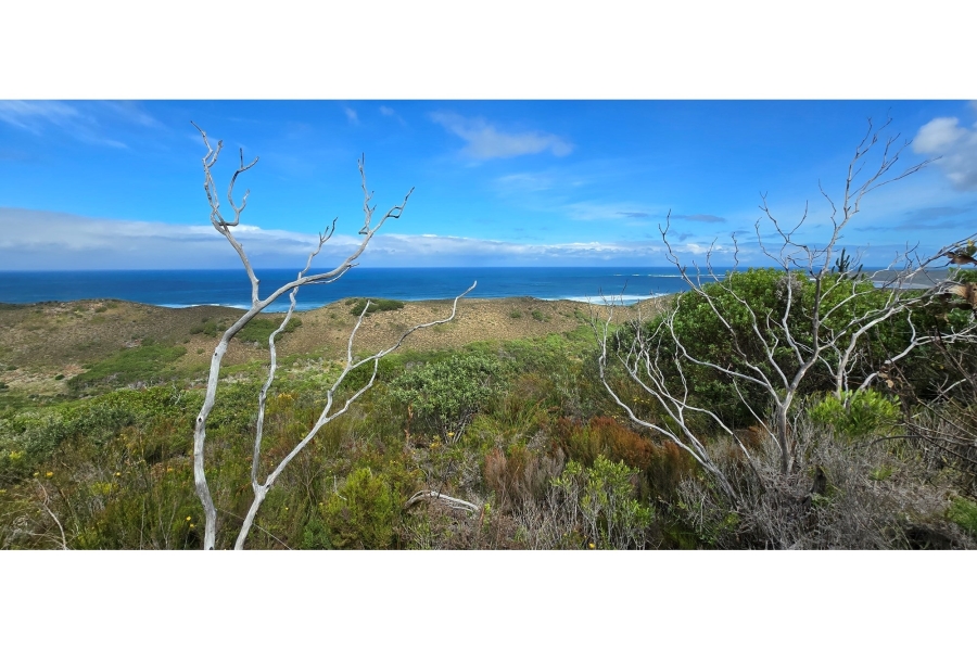 0 Bedroom Property for Sale in Brenton On Sea Western Cape